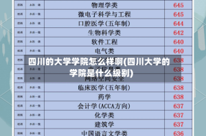 四川的大学学院怎么样啊(四川大学的学院是什么级别)