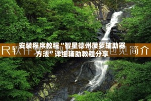 安装程序教程“智星德州菠萝辅助器方法”详细辅助教程分享