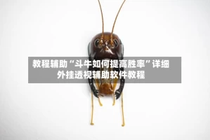 教程辅助“斗牛如何提高胜率”详细外挂透视辅助软件教程
