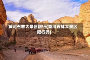 黄河石林大景区限行(黄河石林大景区限行吗)