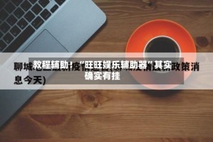 教程辅助！“旺旺娱乐辅助器”其实确实有挂