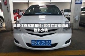 武汉江夏车辆年检/武汉江夏车辆年检多少钱