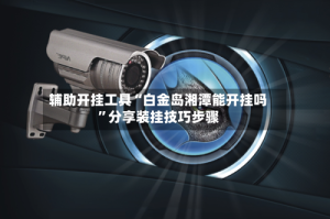 辅助开挂工具“白金岛湘潭能开挂吗”分享装挂技巧步骤