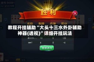 教程开挂辅助“大头十三水外卦辅助神器(透视)”详细开挂玩法