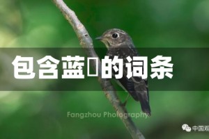 包含蓝鹀的词条