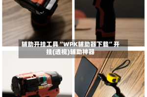 辅助开挂工具“WPK辅助器下载”开挂(透视)辅助神器