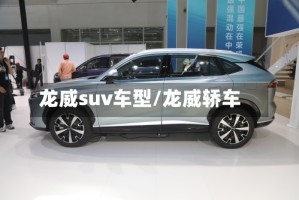 龙威suv车型/龙威轿车