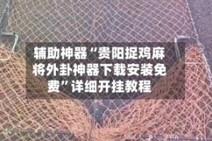 辅助神器“贵阳捉鸡麻将外卦神器下载安装免费”详细开挂教程