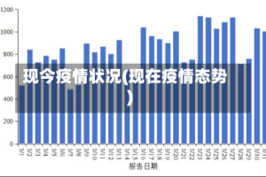 现今疫情状况(现在疫情态势)