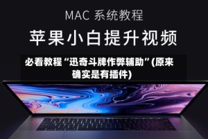 必看教程“迅奇斗牌作弊辅助”(原来确实是有插件)