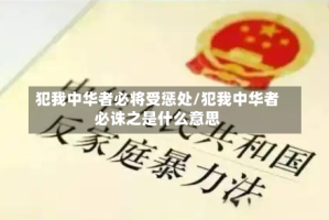 犯我中华者必将受惩处/犯我中华者必诛之是什么意思