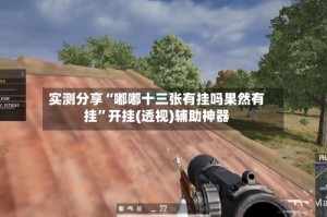 实测分享“嘟嘟十三张有挂吗果然有挂”开挂(透视)辅助神器