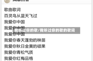 我听过你的歌/我听过你的歌的歌词