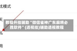 教程开挂辅助“微信雀神广东麻将必胜软件”(透视挂)辅助透视教程