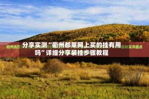分享实测“衢州都莱网上买的挂有用吗”详细分享装挂步骤教程