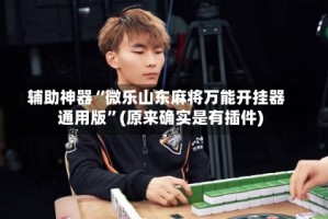 辅助神器“微乐山东麻将万能开挂器通用版”(原来确实是有插件)