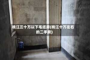 桃江三十万以下毛坯房(桃江十万左右的二手房)