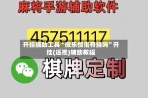 开挂辅助工具“微乐惯蛋有挂吗”开挂(透视)辅助教程