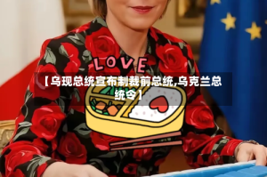 【乌现总统宣布制裁前总统,乌克兰总统令】