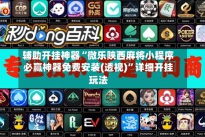 辅助开挂神器“微乐陕西麻将小程序必赢神器免费安装(透视)”详细开挂玩法