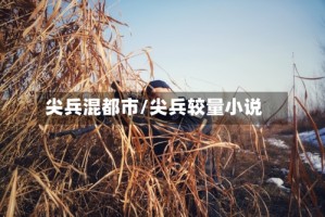尖兵混都市/尖兵较量小说