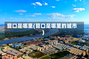 营口是哪里(营口是哪里的城市)