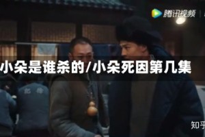 小朵是谁杀的/小朵死因第几集