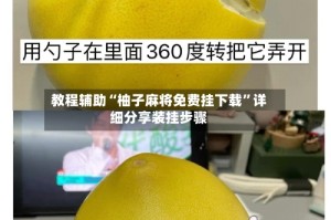 教程辅助“柚子麻将免费挂下载”详细分享装挂步骤
