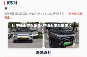 比亚迪全系车型(比亚迪全系车型图片)