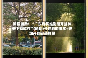 教程辅助！“广东麻将推倒胡开挂神器下载软件”(透视)开挂辅助脚本+详细开挂安装教程