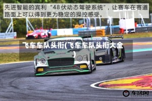 飞车车队头衔(飞车车队头衔大全)