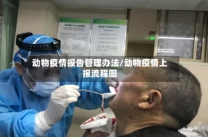 动物疫情报告管理办法/动物疫情上报流程图