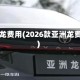 亚洲龙费用(2026款亚洲龙费用)