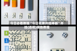 今日必看教程“今日花牌开挂神器”开挂(透视)辅助教程