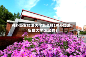对外经贸经济大学怎么样(对外经济贸易大学 怎么样)