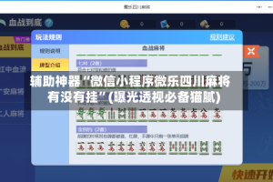 辅助神器“微信小程序微乐四川麻将有没有挂”(曝光透视必备猫腻)