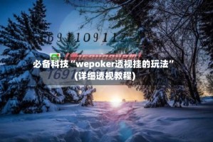 必备科技“wepoker透视挂的玩法”(详细透视教程)