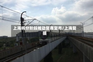 上海将分阶段推动复商复市/上海复疆