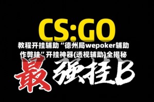 教程开挂辅助“德州局wepoker辅助作弊挂”开挂神器{透视辅助}全揭秘