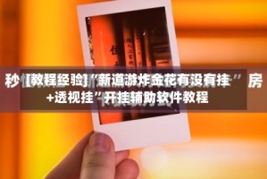 [教程经验]“新道游炸金花有没有挂+透视挂”开挂辅助软件教程