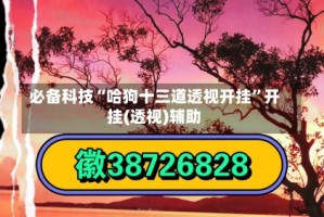 必备科技“哈狗十三道透视开挂”开挂(透视)辅助