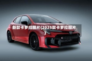 新款卡罗拉图片(2025款卡罗拉图片)