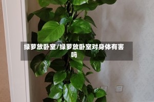 绿萝放卧室/绿萝放卧室对身体有害吗