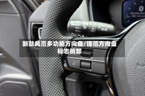 新款风范多功能方向盘/锋范方向盘标志拆卸