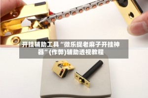 开挂辅助工具“微乐捉老麻子开挂神器”(作弊)辅助透视教程