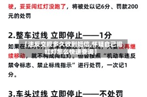 【违反交规多久收到短信,怀疑自己闯红灯怎么快速查询】