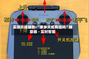 实测开挂辅助:“家乡大贰有挂吗”辅助器 - 实时智能