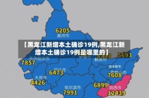 【黑龙江新增本土确诊19例,黑龙江新增本土确诊19例是哪里的】