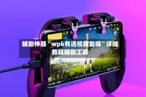 辅助神器“wpk有透视辅助嘛”详细教程辅助工具