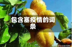 包含塞疫情的词条